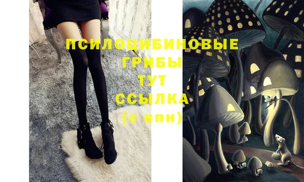 Альфа ПВП Абаза