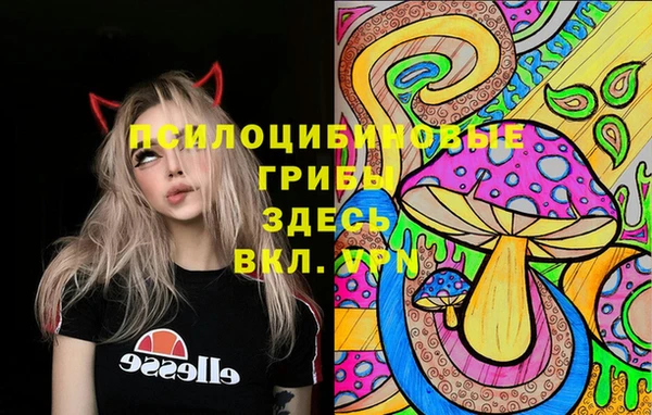 Альфа ПВП Абаза