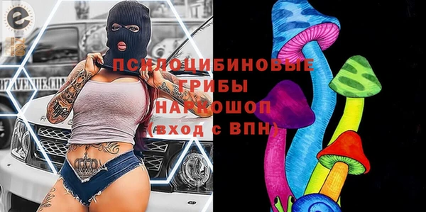 бошки Абинск
