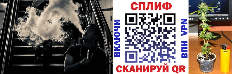 МАРИХУАНА ГИДРОПОН Приморско-Ахтарск